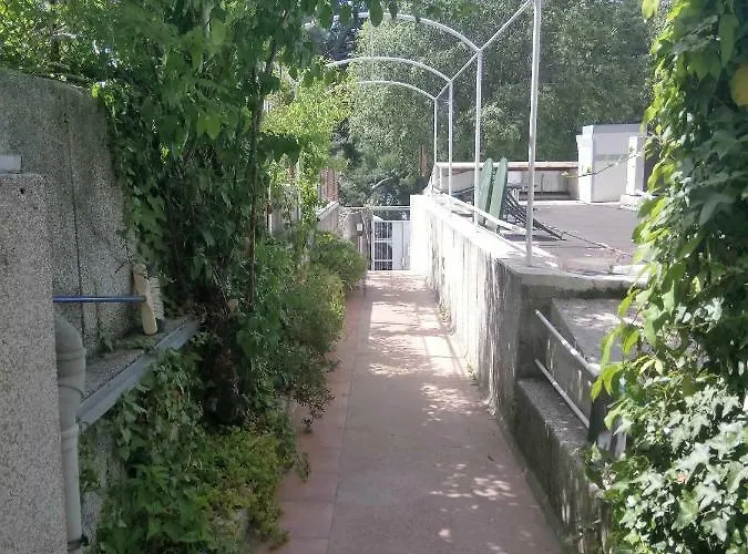 Tiha *